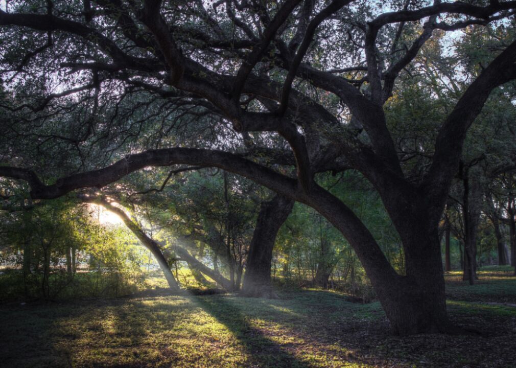 #29. Olmos Park, Texas